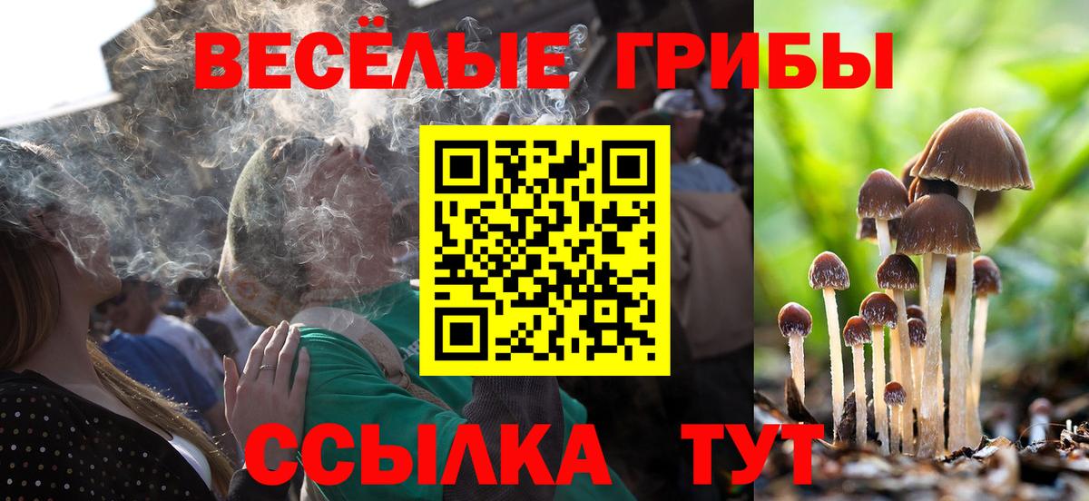 Галлюциногенные грибы Magic Shrooms Астрахань