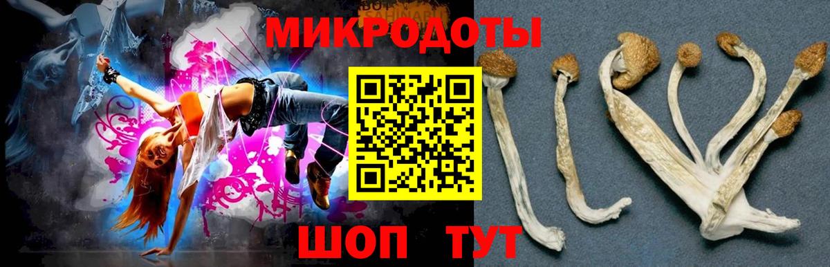 Галлюциногенные грибы прущие грибы  Псилоцибиновые грибы MAGIC MUSHROOMS  Вход с VPN  Астрахань 